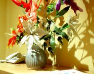 Apartment 12 photo 2